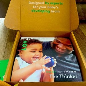 Lovevery: The Thinker play kit